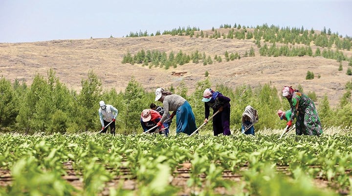 Akyurt’ta çiftçilerin gelirleri artırılacak